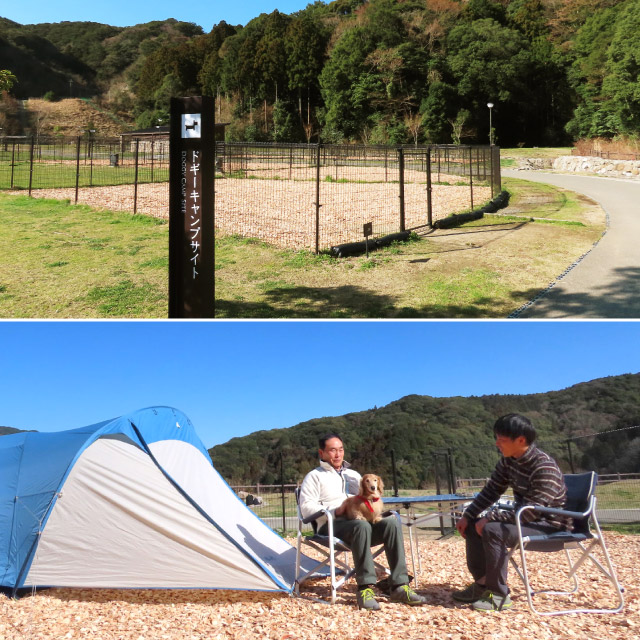 ドギーキャンプサイトの写真（上）とテントを張って、椅子に座って犬とキャンプを楽しむ二人の男性の写真（下）