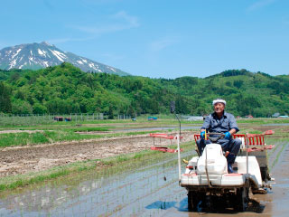 イメージ画像