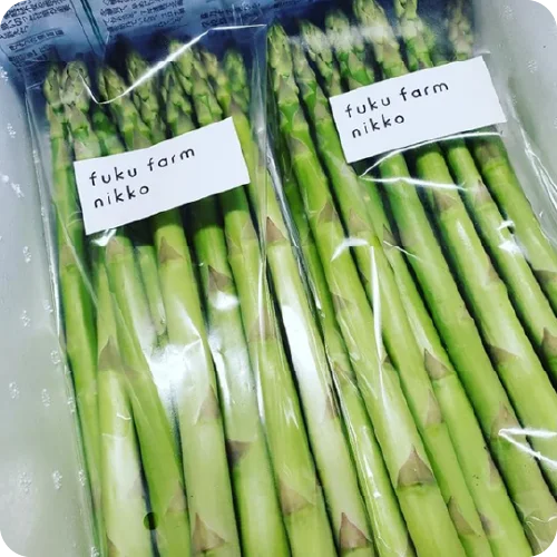 fuku farm nikko アスパラガス1kg（Lサイズ）