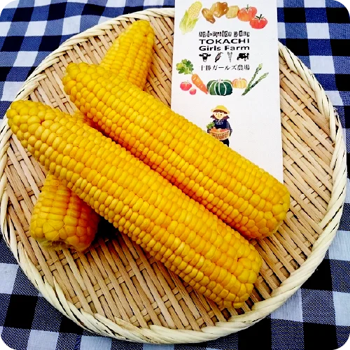 十勝ガールズ農場「朝どり一番」とうもろこし