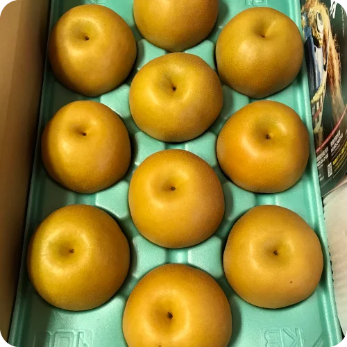品種おまかせ なまはげからの贈り物 梨5kg（12～16玉）
