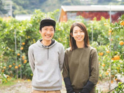 みかん農園にいる２人の生産者