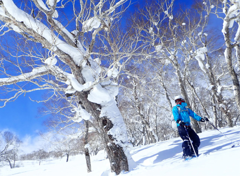 スキー・スノーボードで冬を楽しむ スノースポーツ向けウエア＆ギア｜モンベル