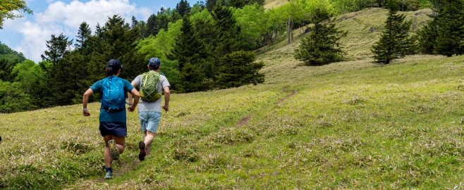 トレイルランニングイベントのイメージ写真