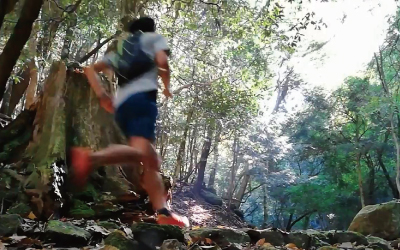 軽快に走っている人の写真