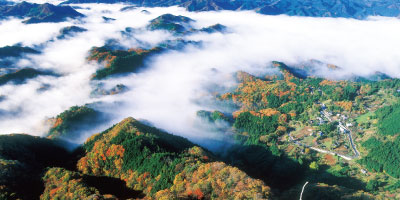 男体山のフィールド写真