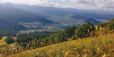 信越自然郷のフィールド写真