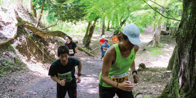 綾部市のフィールド写真