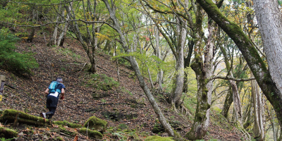鳥取県のフィールド写真
