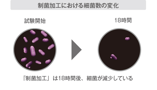 イメージ画像