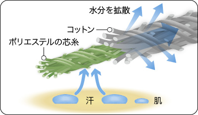 コアスパン 機能：ポリエステルの芯糸の周りをコットンで包み込んだ構造。素早く汗を吸水し、拡散する。
