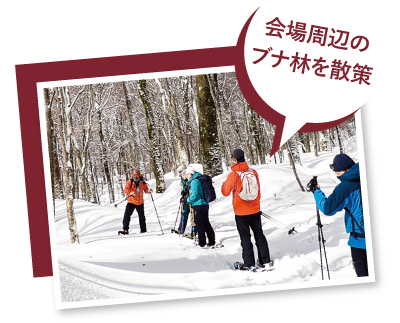 雪の積もったブナ林で、5人の人がスノーシューハイクをしている写真