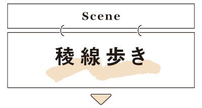 稜線歩きの紹介へ