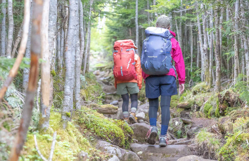 中型のバックパックを背負って登山をする2人の女性