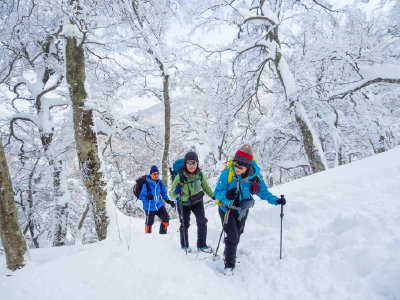 雪山をラッセルして登る登山者たち