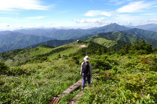 夏山