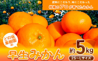 早生みかん